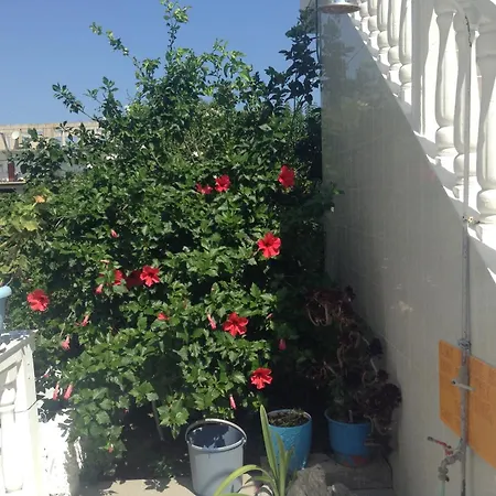 Apartmán Dina